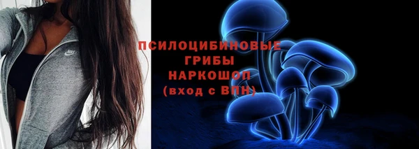гашик Алзамай
