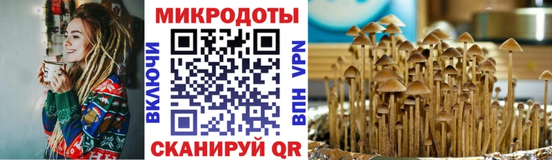 mega вход  Микунь  Псилоцибиновые грибы MAGIC MUSHROOMS 